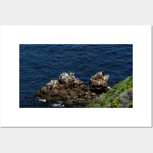 Channel Islands National Park Santa Cruz Island Wall Art by supernova23